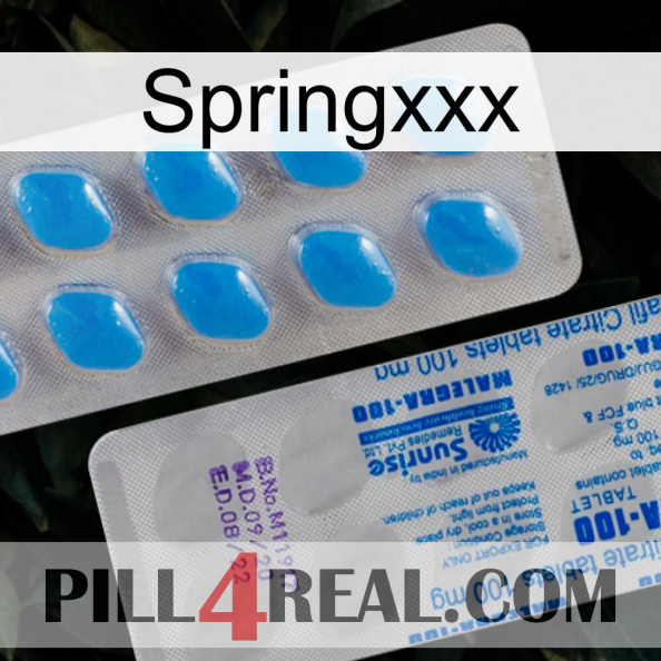 Springxxx new15.jpg